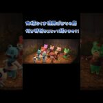 【あつ森】くま🐻住民しかいない島🏝️くま🐻だらけの島って特別なこと起きるの?!　【あつ森　住民厳選】