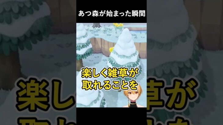 【#あつ森 】るぅとのあつ森が始まった瞬間