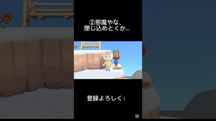 #あつ森  気まずい瞬間特集