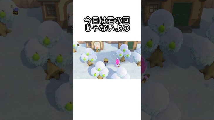 【あつ森】ある住民の回になるはずが…の様子。