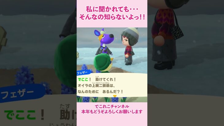 【あつ森】今、頑張っていることの目的は何？ #あつ森 #あつまれどうぶつの森 #目的