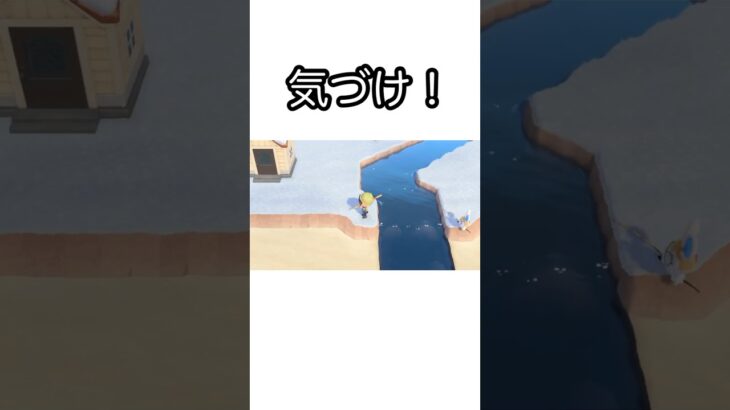 【あつ森】住民が魚釣りをしていた時の様子。