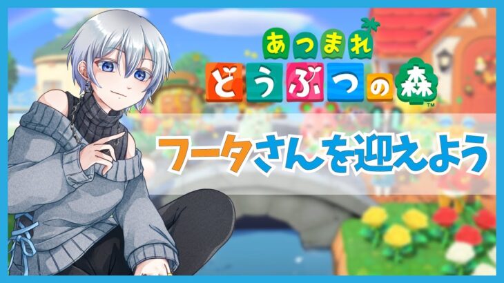 【睡眠導入】博物館の館長に会う【あつ森】