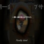 あつ森 /キャンプサイト｜一期一会の出逢い