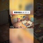 【あつ森】それはイブの夜の出来事……  #あつ森 #あつまれどうぶつの森