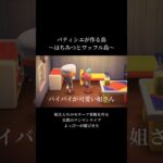 パティシエのあつ森。道いっぱいにスイーツ計画。姐さんちのモチーフ看板/兄貴のワンマンライブ/よっぴーが遊びきた