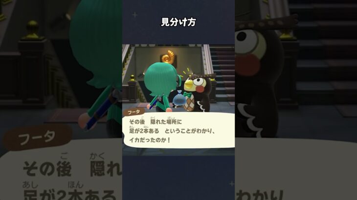 【あつ森】不思議な深海魚コウモリダコ！ #あつ森  #あつまれどうぶつの森  #女性ゲーム実況