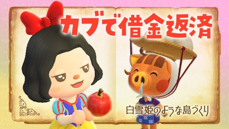 【あつ森】アプデに向けて！カブ活でお金稼ぎするライブ #あつまれどうぶつの森