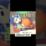 きぬちゃん怖がらせてごめんね【あつ森】　　#あつ森 #あつまれどうぶつの森 #ゲーム実況
