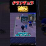 あつ森のレア生物ゲット！！！【あつ森】