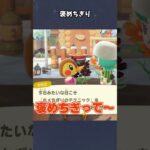 【あつ森】褒めて伸びます！！！ #あつ森  #あつまれどうぶつの森  #女性ゲーム実況