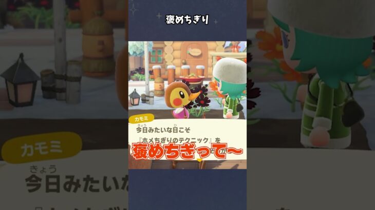 【あつ森】褒めて伸びます！！！ #あつ森  #あつまれどうぶつの森  #女性ゲーム実況