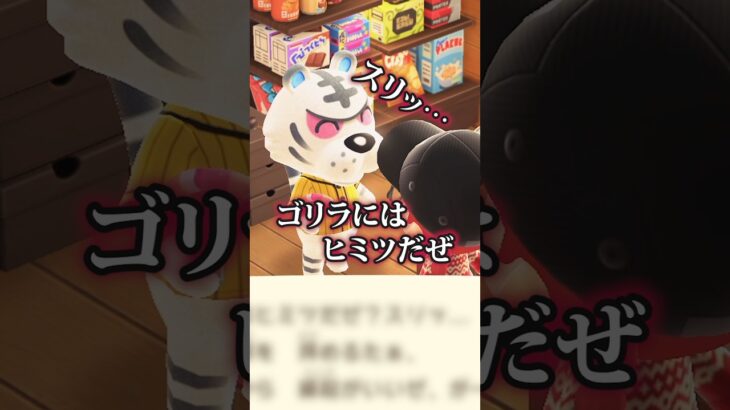 【#あつ森 】動物達による縄張り争い🔥鈍感なゴリラとトラ住民#あつまれどうぶつの森 #どうぶつの森