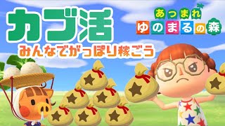 【あつ森】カブ活配信＊アプデ前に稼ぎましょう♬