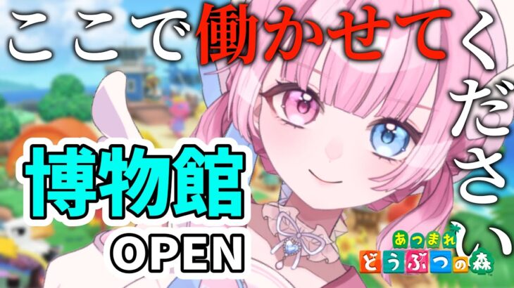 【あつ森】博物館オープン目前！島が本格始動🦉 【天ぷるくり】