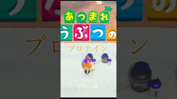 こんなところにプロテインがある！？【あつまれどうぶつの森】#あつ森 #あつまれどうぶつの森