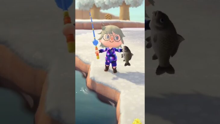 あつ森ー！！ショート動画に無理やりしたらこうなった😭#あつまれどうぶつの森