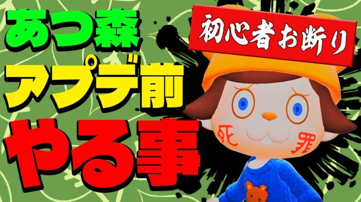 【玄人向け】あつ森の無料アプデまでに絶対やるべき事！【あつまれどうぶつの森】