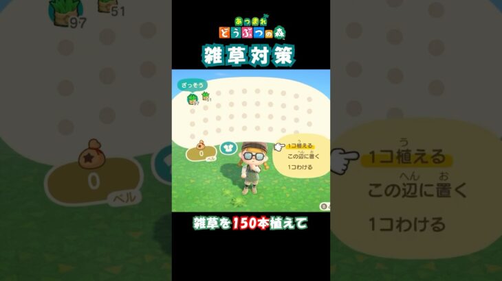 【あつ森】マイデザなし‼️雑草が生えなくなる裏技