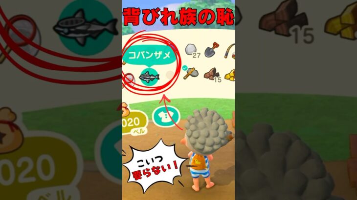 あつ森 ｜ ポーチに居座る背びれ族の恥