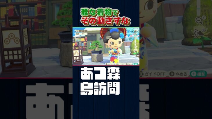 着物でそんな動きすな【あつ森】