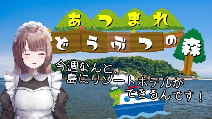【あつまれ どうぶつの森】今週だ、備えろ！！【あつ森】