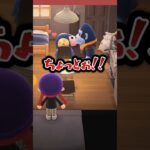 【#あつ森 】クリスマス当日に推し住民が他の女と密会していた…💔#あつまれどうぶつの森 #どうぶつの森