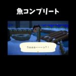 あつ森魚コンプリート#あつ森