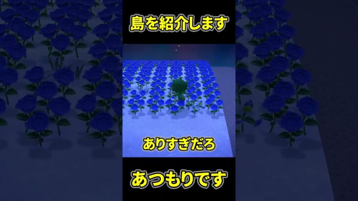 [あつ森]島を紹介します #どうぶつの森 #あつまれどうぶつの森 #どう森 #ゆっくり実況