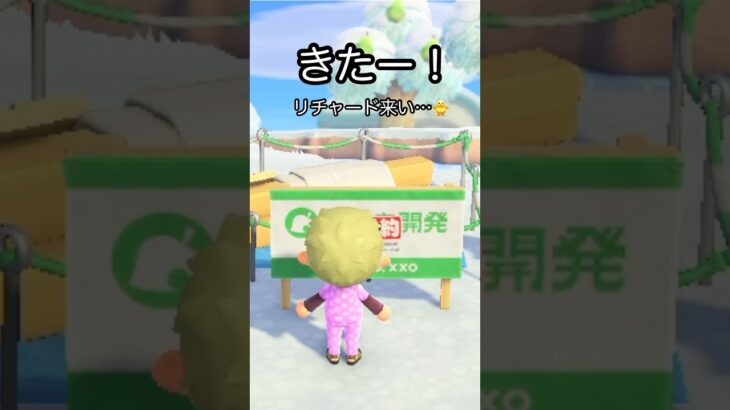 【あつ森】新しい住民が来た時の様子。