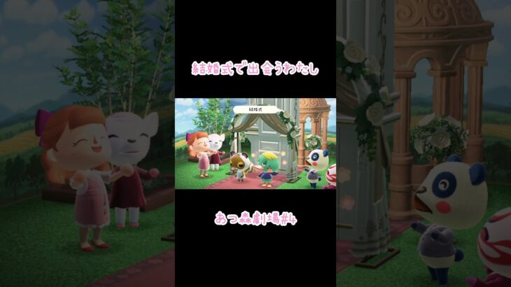 【あつ森劇場】結婚式で出会うわたし