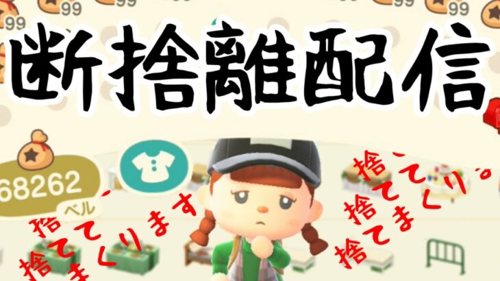 【あつ森】いよいよ明日だね♪アプデの準備とかハピパラとかやっていく～♪　【あつまれどうぶつの森／ライブ】