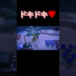 あつ森　アプデキターー！🥰