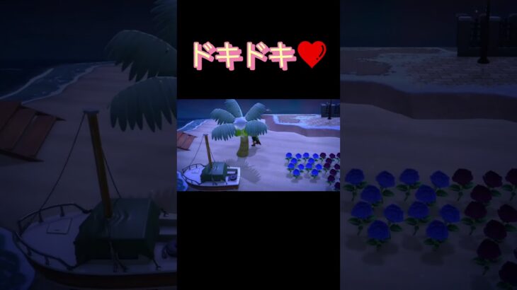 あつ森　アプデキターー！🥰