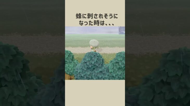 【あつ森】蜂に刺されそうな時は…？🐝