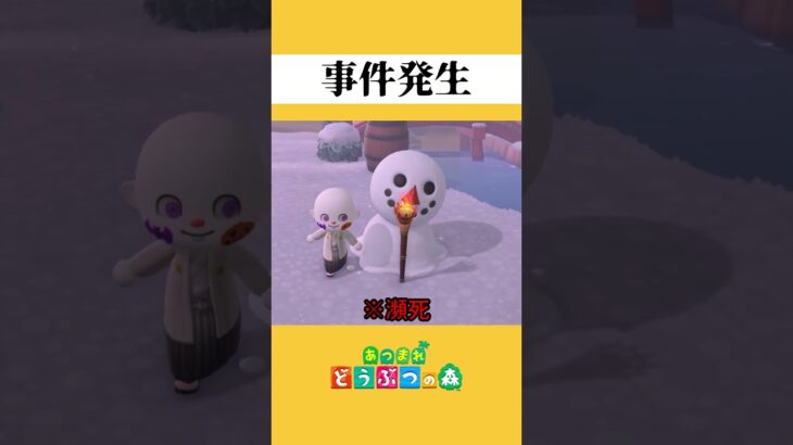 雪だるま作成中に事件発生【あつまれどうぶつの森】