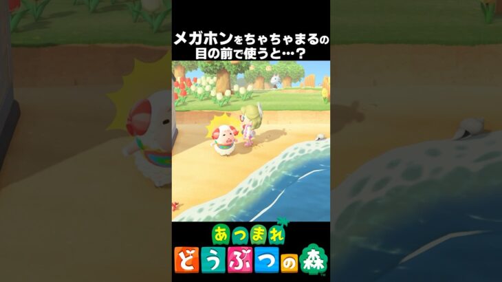 【あつ森アプデ】メガホンをちゃちゃまるの目の前で使うと驚きの結果にｗｗ