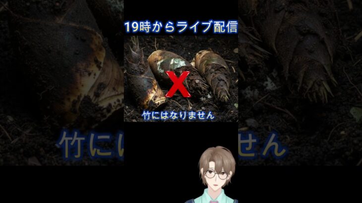 あつ森の竹の成長システムがおかしい件 #あつ森 #あつまれどうぶつの森