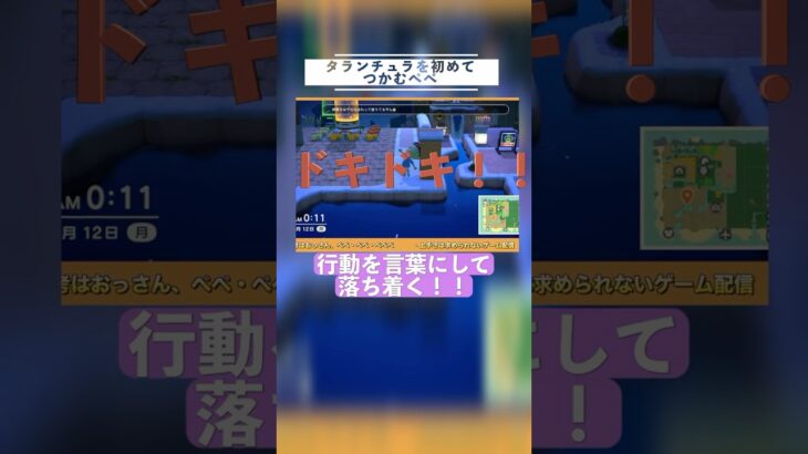 タランチュラ #ねっぺぺちゃんねる #ゲーム実況 #あつ森