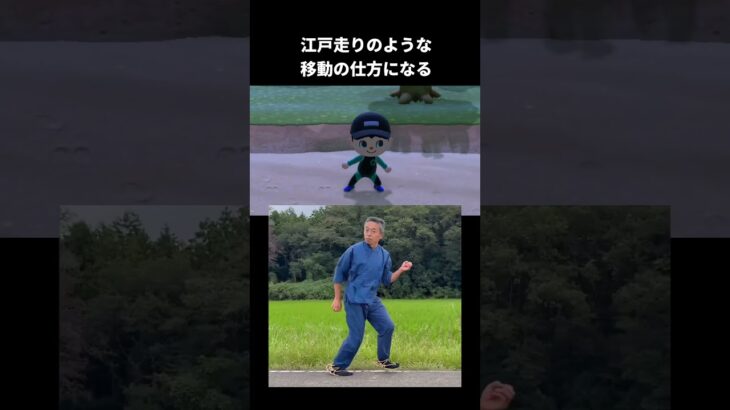 あつ森の新モーション【あつまれどうぶつの森】#アップデート#大型アップデート