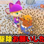 【あつ森】アプデで増えたリセットさんに害虫駆除お願いした結果が理不尽すぎた