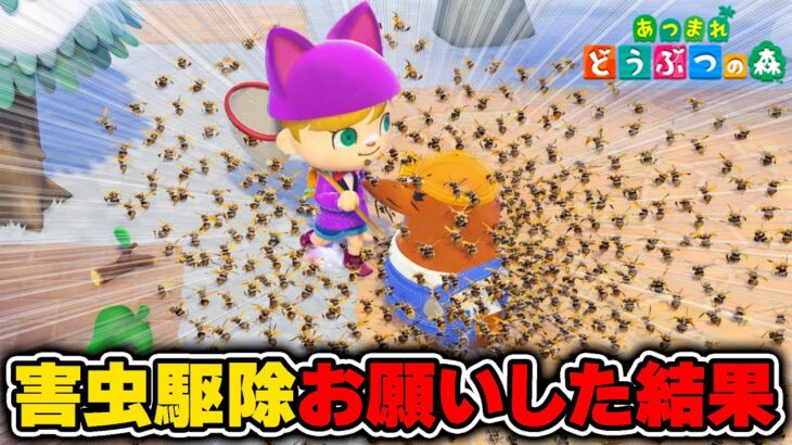 【あつ森】アプデで増えたリセットさんに害虫駆除お願いした結果が理不尽すぎた