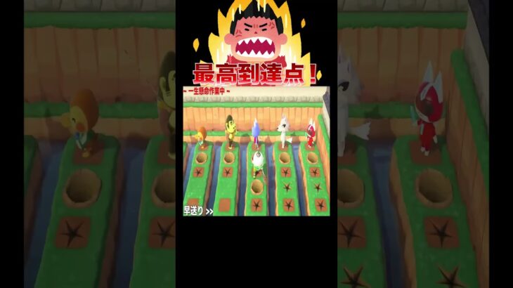 のんびりできないお盆休み😇🕳️#あつ森 #落とし穴レース