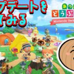 あつ森がアップデートしたので久々に遊んでみる！【あつまれどうぶつの森】