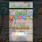 【あつ森追加コンテンツ】新要素を素早く解説！＃あつ森