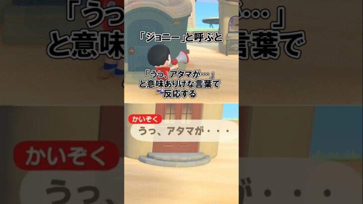 メガホンで海賊に向かってジョニーと呼ぶと…？【あつ森】@ほのげ