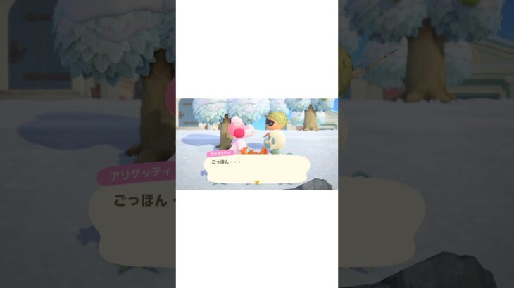 【あつ森】あの住民が歌手デビュー？？の様子。