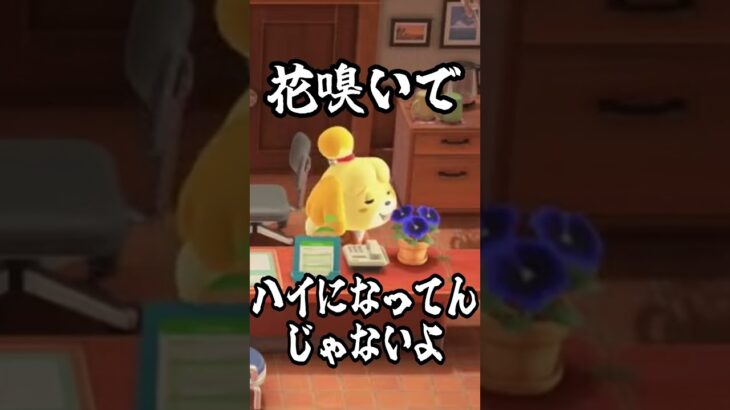 アプデ直後に役場に向かうと見れるイベント【あつ森】#あつ森 #ゲーム実況 #あつまれどうぶつの森 #ゲーム