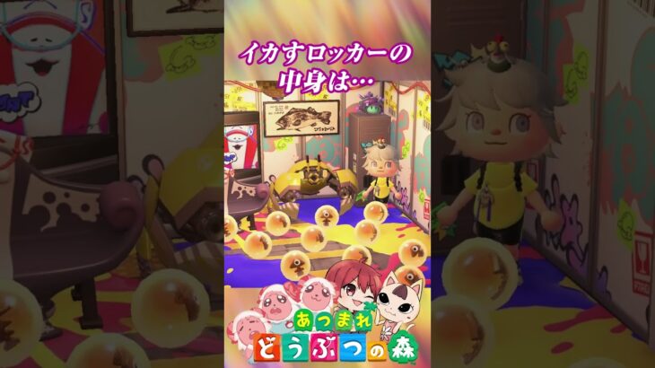 イカすロッカー 開くと… #あつ森 #アプデ #あつまれどうぶつの森 #森アプデ #アップデート