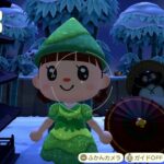 【あつ森】お正月【プレミア公開】ふりーだむ島